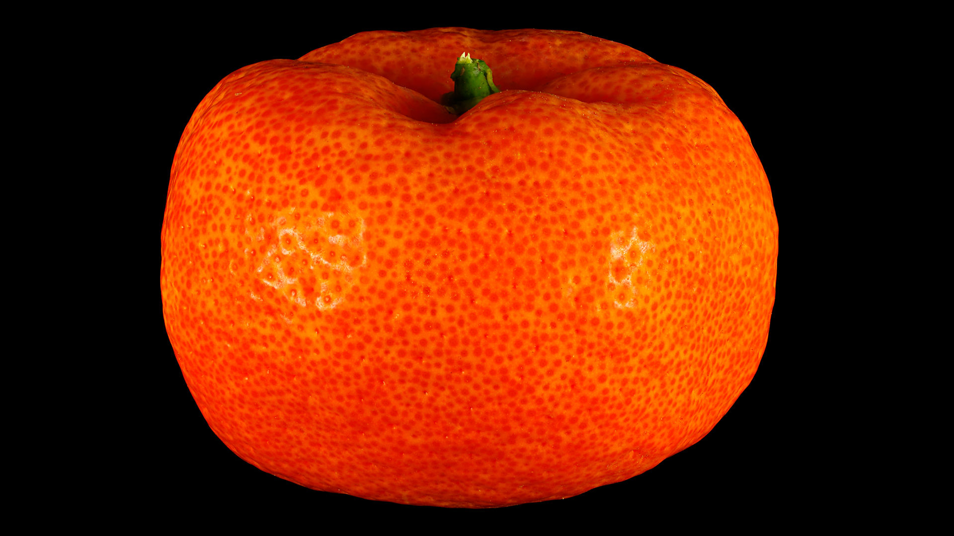 Die Cleopatra-Mandarine: Citrus reshni