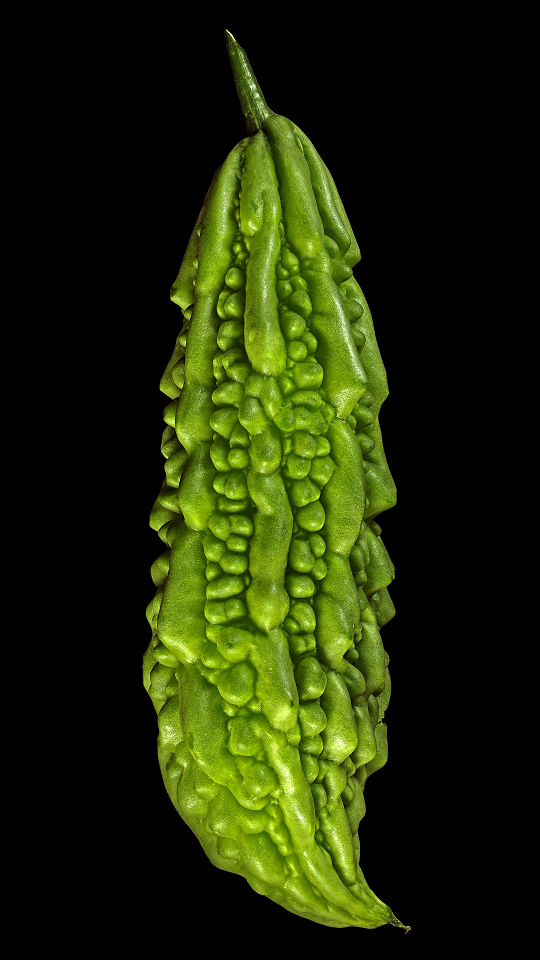 Bitter melon: Momordica charantia (unripe)