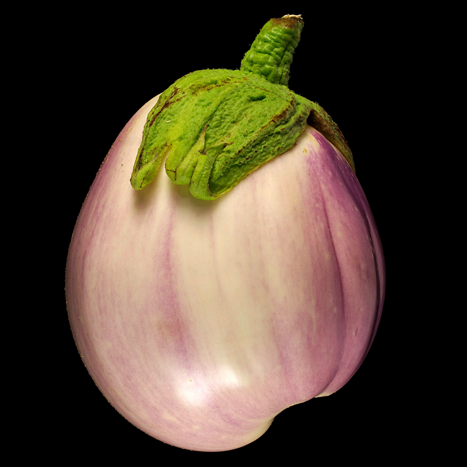 Die Gestreifte Aubergine: Solanum melongena var. esculentum ‚Rotonda bianca sfumata di rosa‘