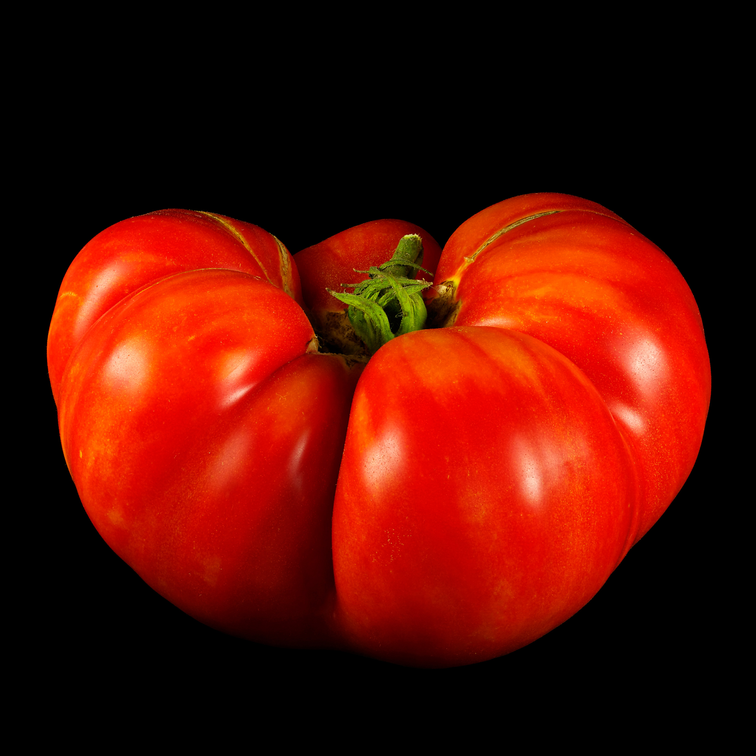 Pinapple-Tomato: Solanum lycopersicum ‚Pinapple‘