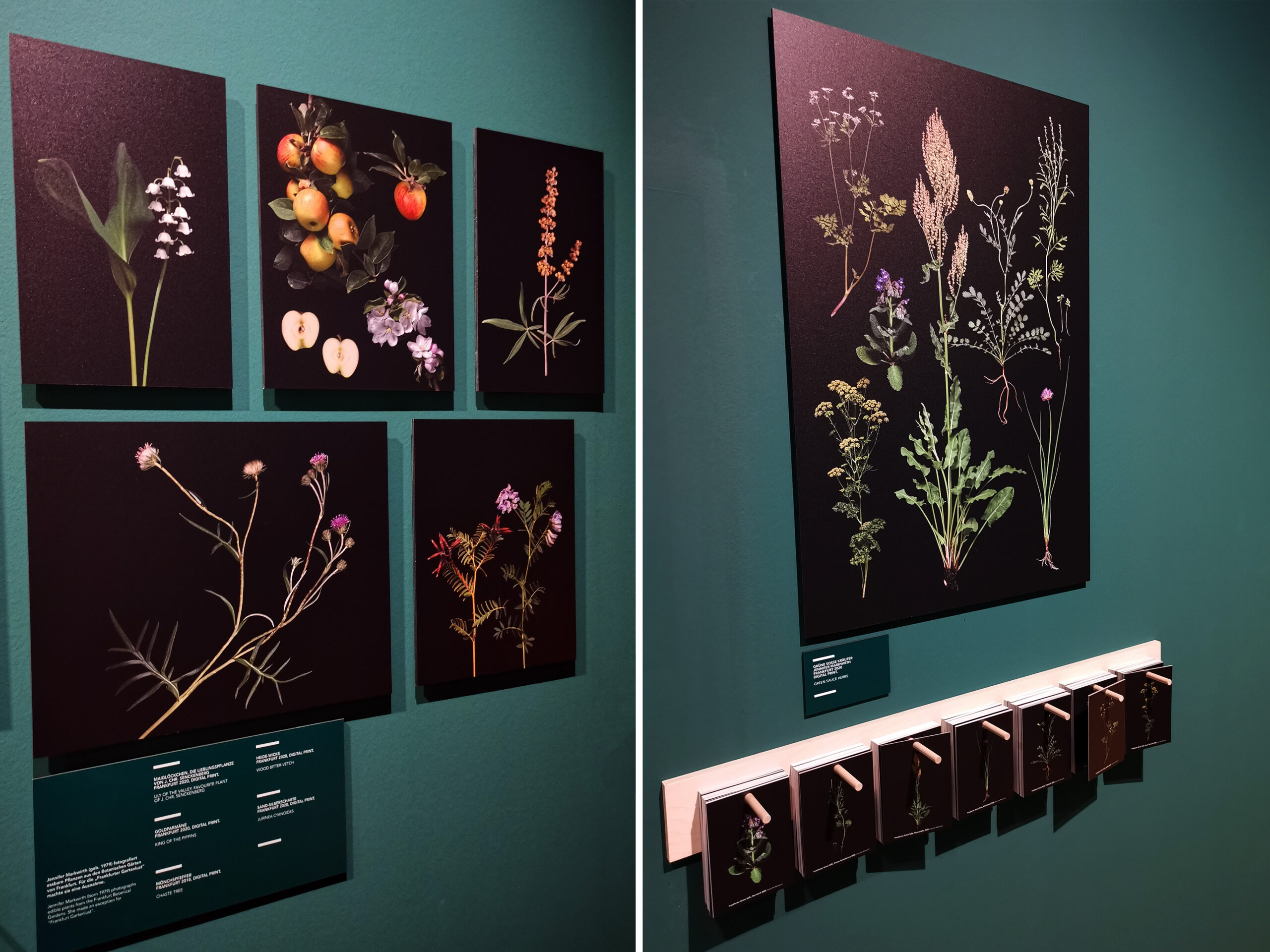 Essbare Pflanzen im Fokus der botanischen Fotografie – Ein Bericht aus der Praxis